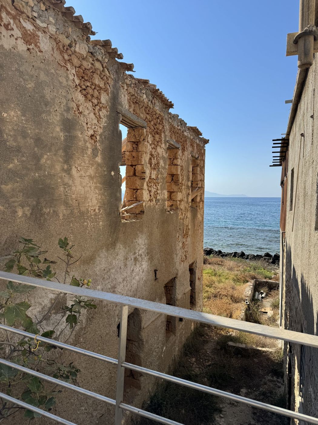 A roofless tannery with a fig tree growing at its base, the sea visible through the empty window openings